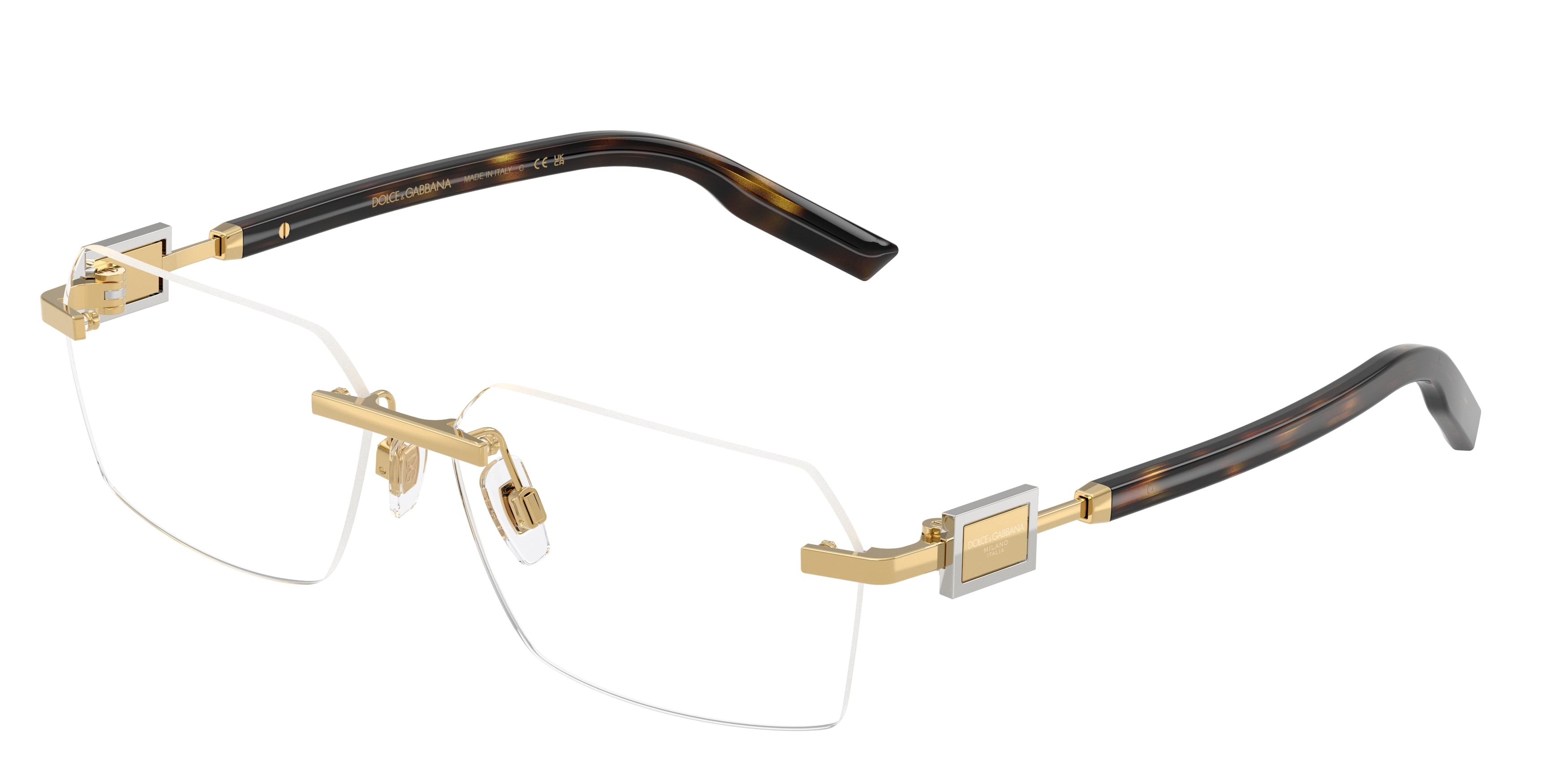Dolce & Gabbana DG1361 02  